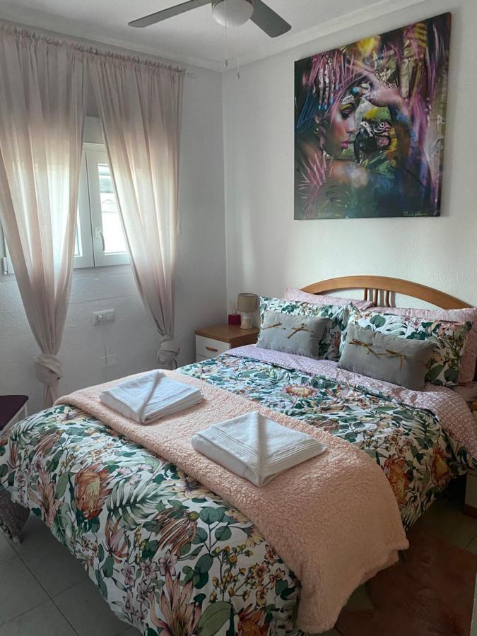 Apartamento Pod Papugami 托雷维耶哈 外观 照片