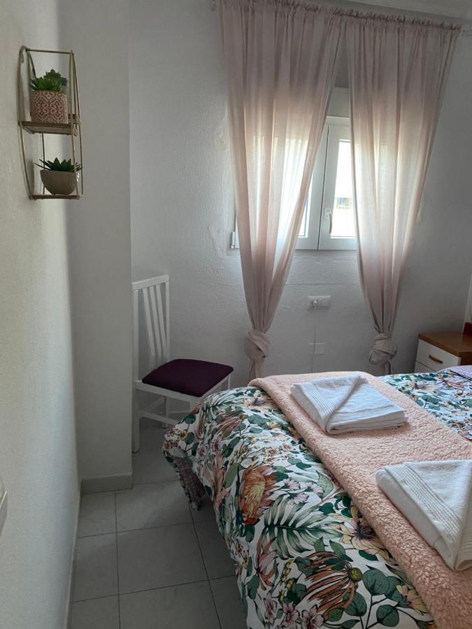 Apartamento Pod Papugami 托雷维耶哈 外观 照片